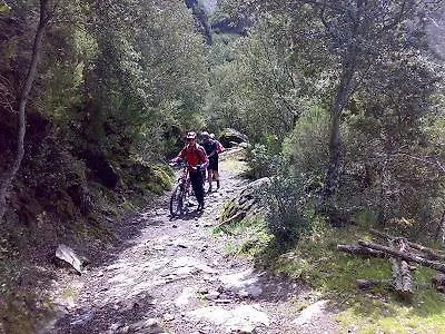 Turisticos Carballedas דירה רבנאל דל קמינו