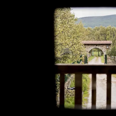 Daire Turisticos Carballedas