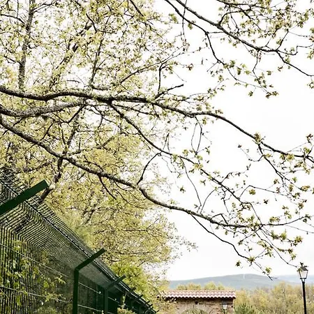 Turisticos Carballedas