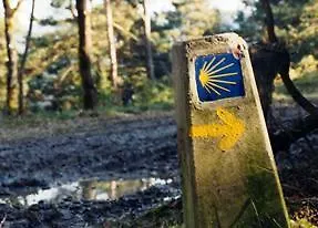 アパート Turisticos Carballedas